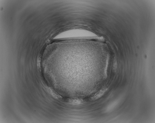 X0000083640282200703051708