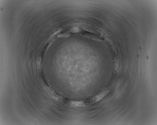 X0000083640283200703051708