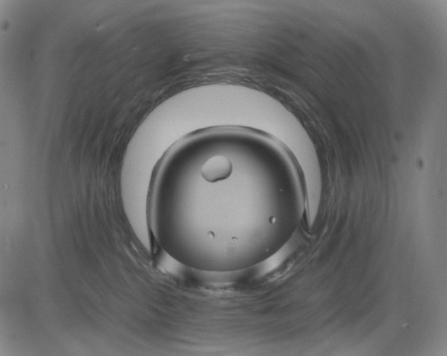 X0000083640284200703051708