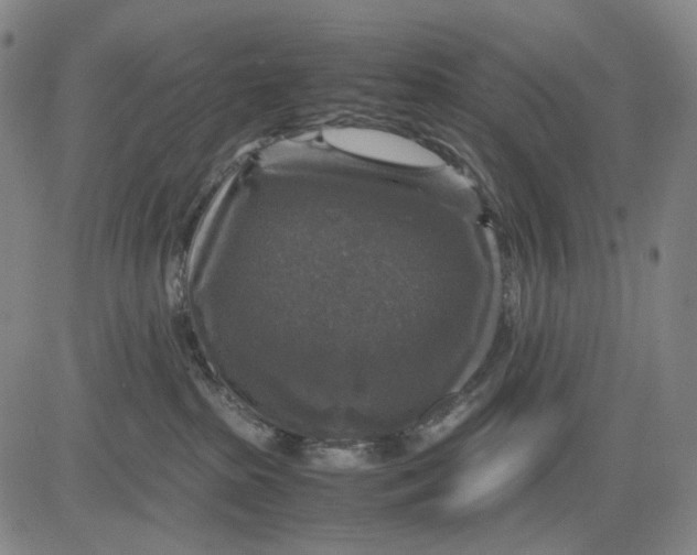 X0000083640285200703051708