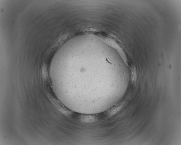 X0000083640287200703051708