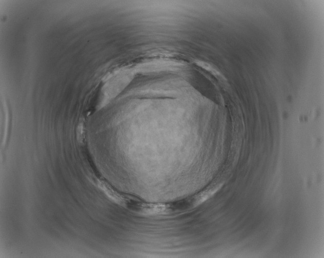 X0000083640288200703051708