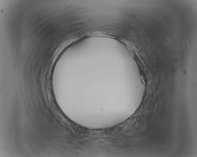 X0000083640289200703051708