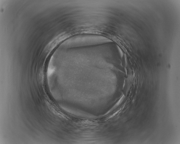 X0000083640290200703051708