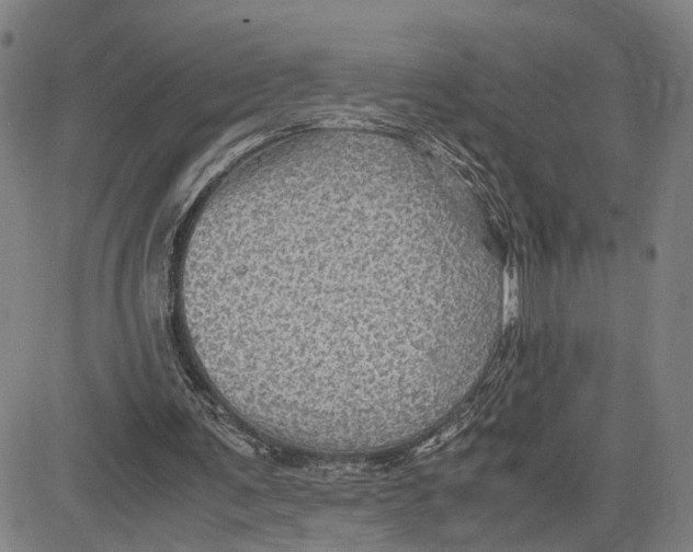 X0000083640291200703051708