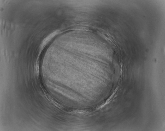 X0000083640294200703051708