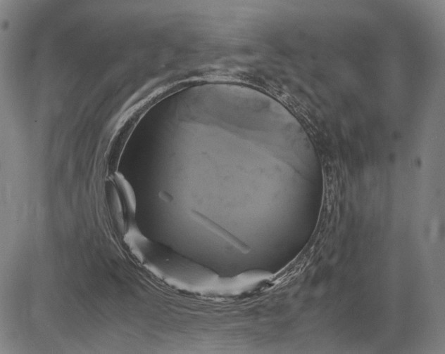 X0000083640295200703051708