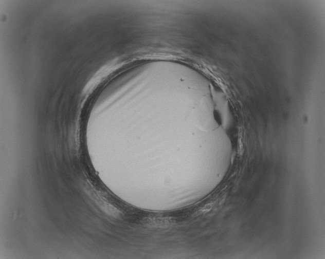 X0000083640296200703051708