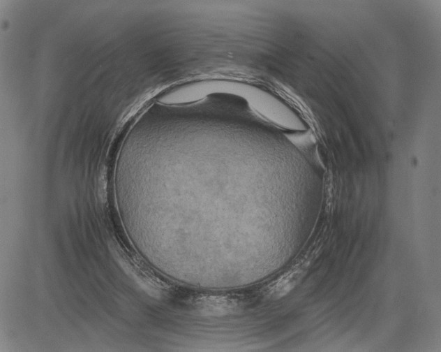 X0000083640298200703051707