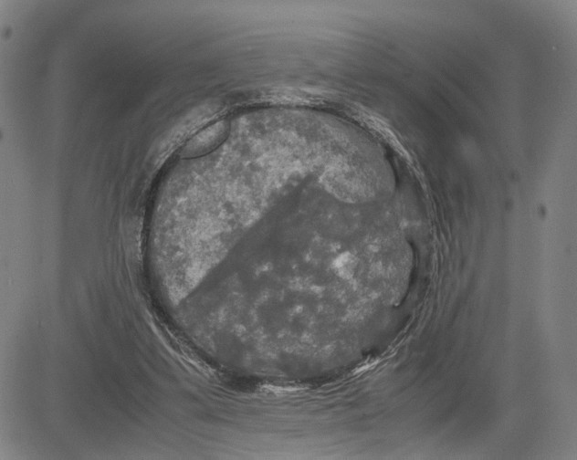 X0000083640299200703051707