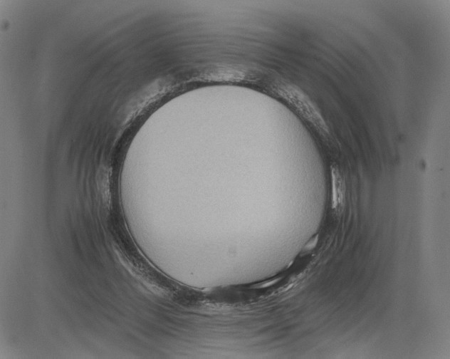 X0000083640300200703051707