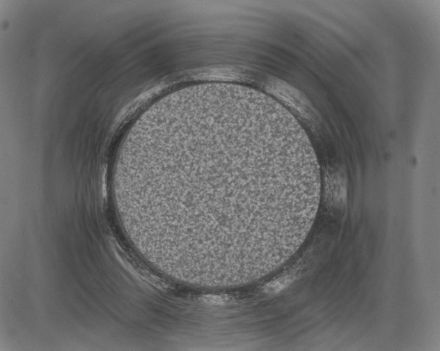 X0000083640302200703051707