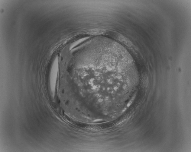 X0000083640303200703051707