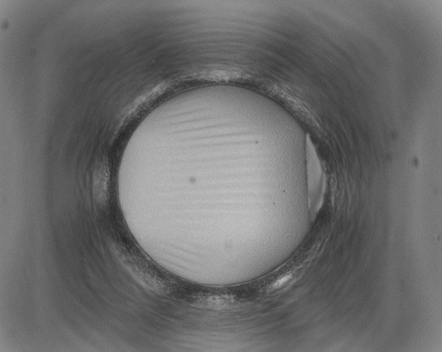 X0000083640304200703051707