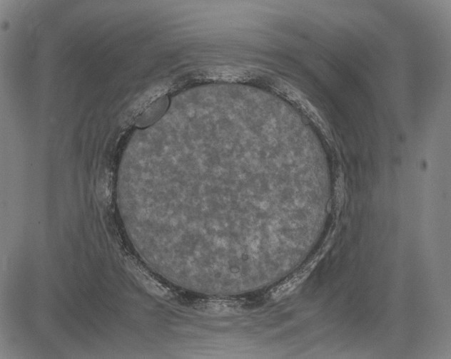 X0000083640305200703051707