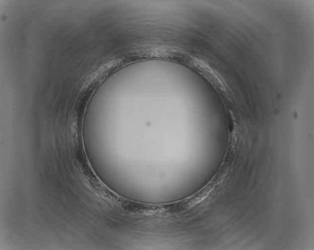 X0000083640306200703051707