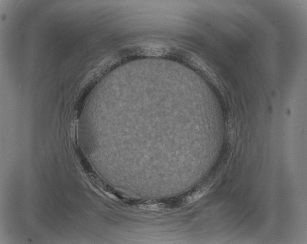 X0000083640307200703051707