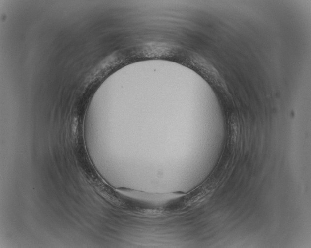 X0000083640308200703051707