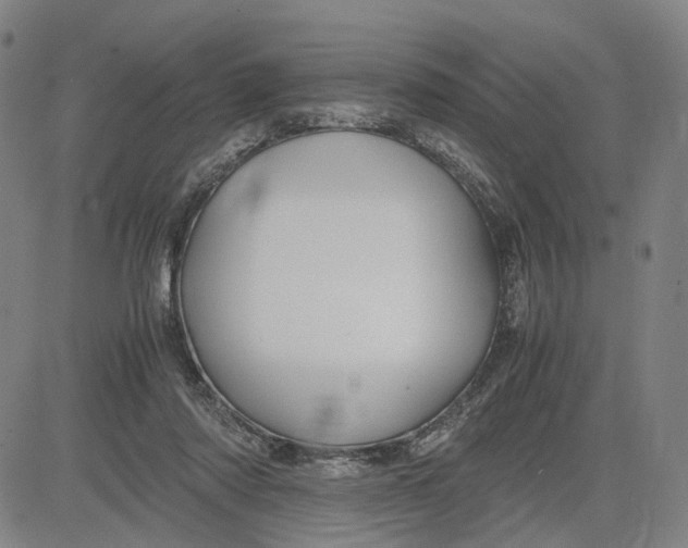 X0000083640310200703051707