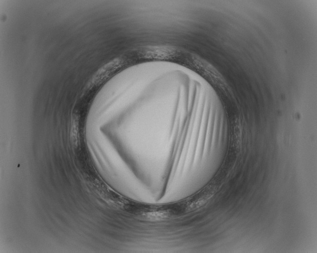 X0000083640312200703051707