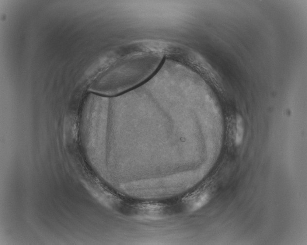 X0000083640313200703051707