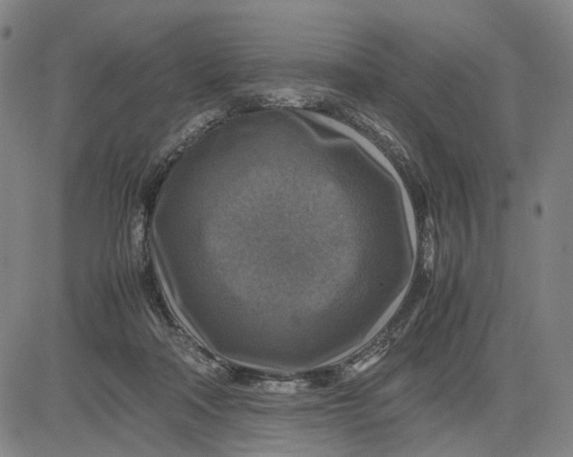 X0000083640314200703051707