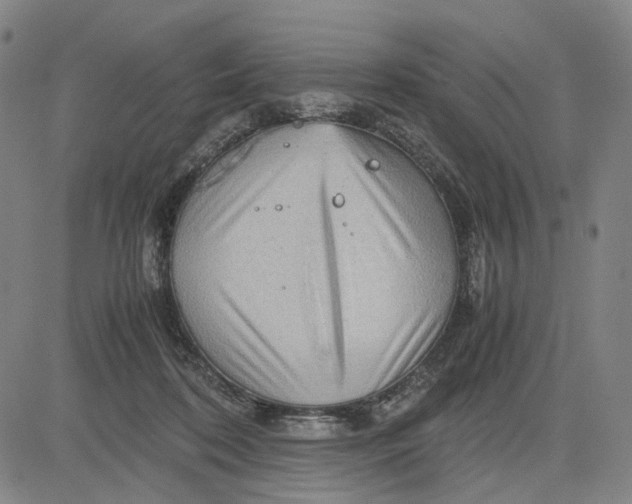 X0000083640316200703051707