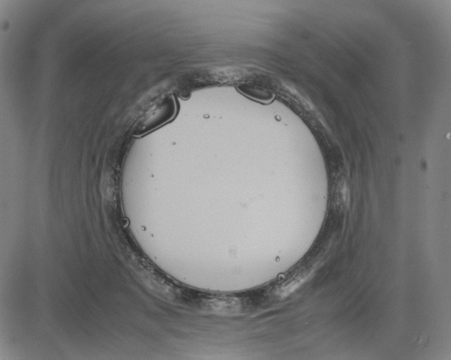 X0000083640317200703051707