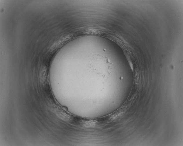 X0000083640318200703051707