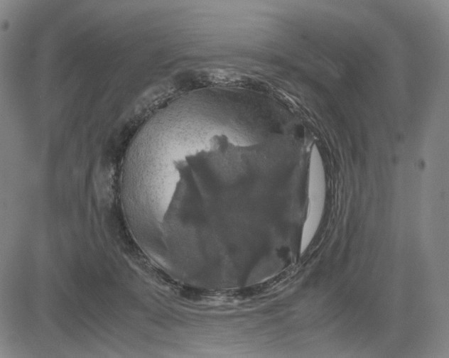 X0000083640319200703051707