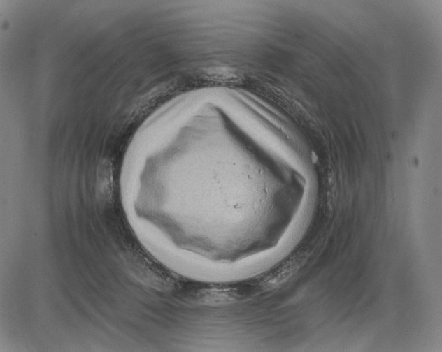 X0000083640320200703051707