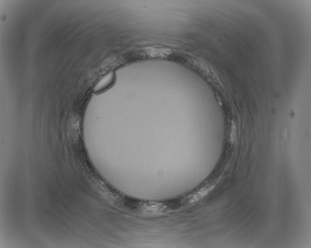 X0000083640321200703051707