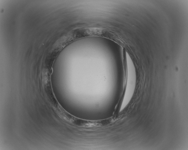 X0000083640323200703051707