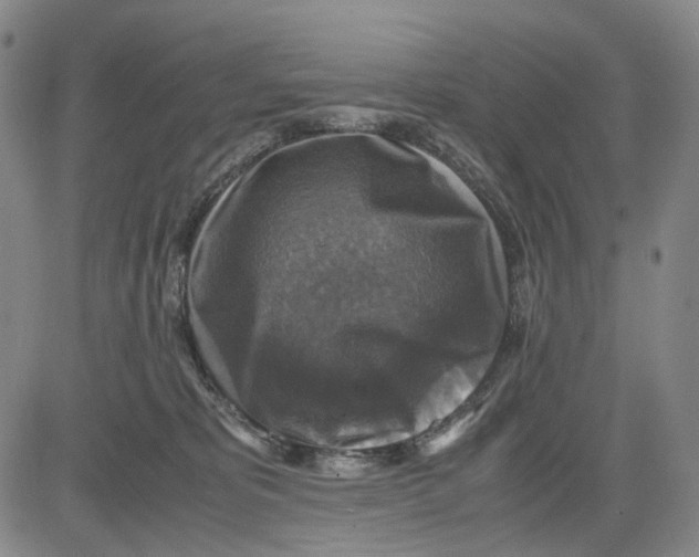 X0000083640325200703051707