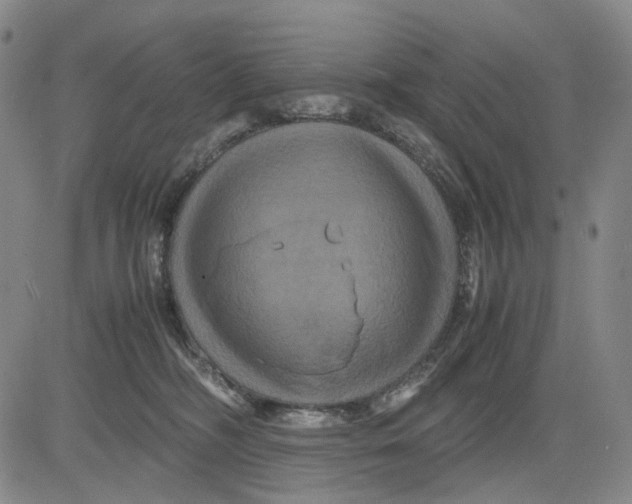 X0000083640326200703051707