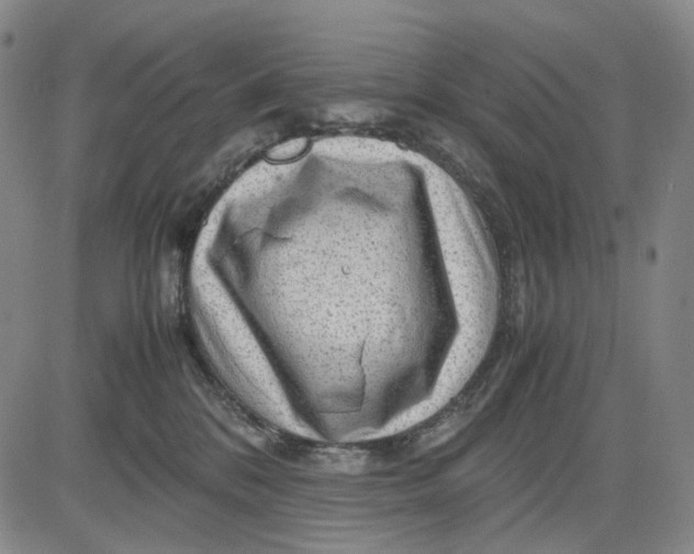 X0000083640328200703051707