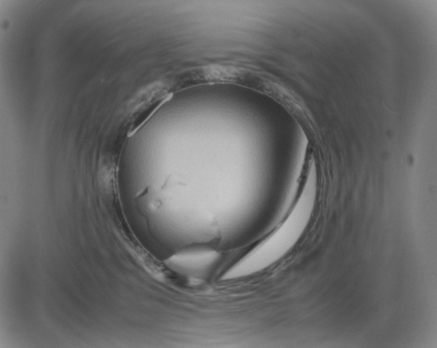 X0000083640329200703051707