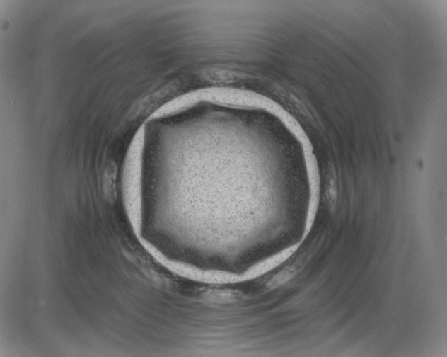 X0000083640332200703051707