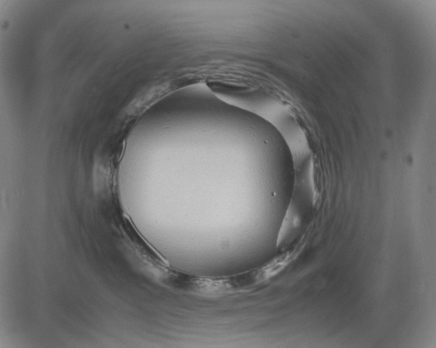 X0000083640333200703051707