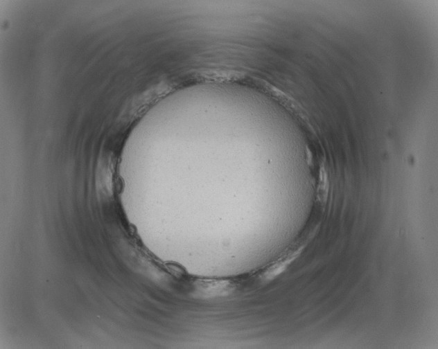 X0000083640334200703051707