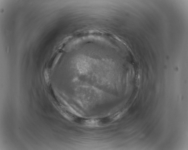 X0000083640335200703051707