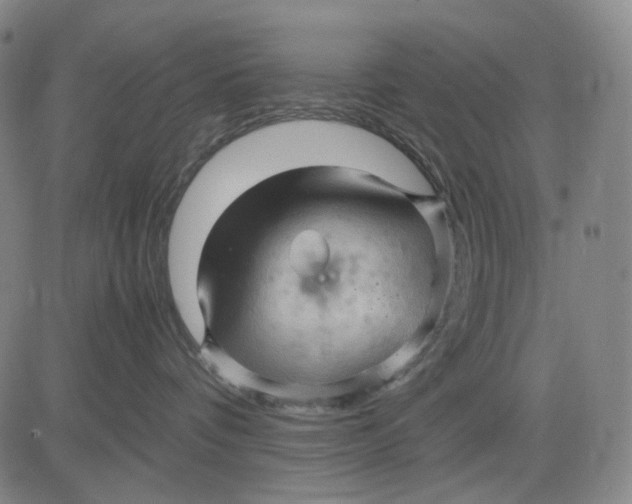 X0000083640336200703051707