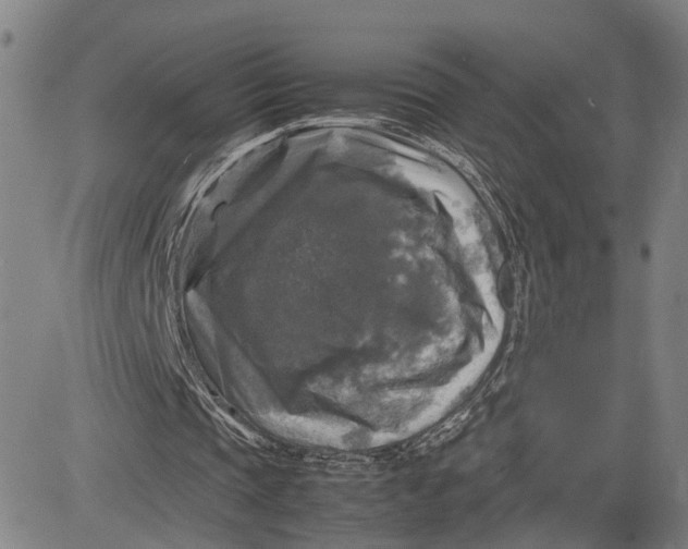 X0000083640337200703051706