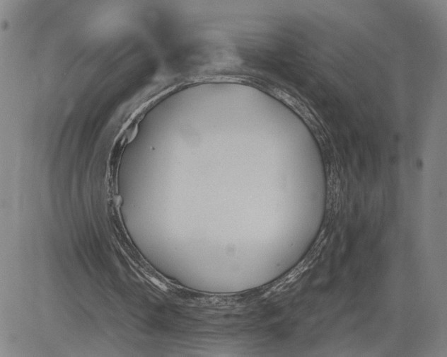 X0000083640338200703051706