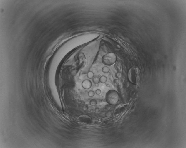 X0000083640339200703051706