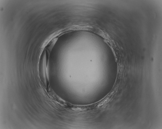 X0000083640340200703051706