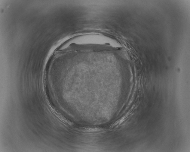 X0000083640342200703051706