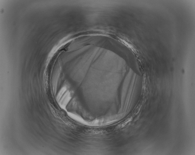 X0000083640343200703051706