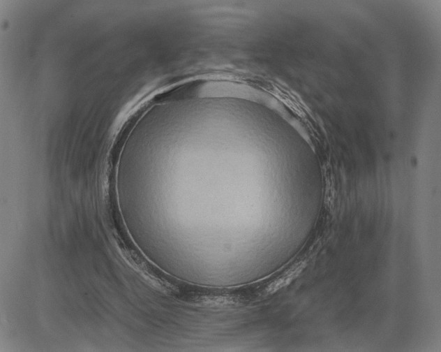 X0000083640344200703051706