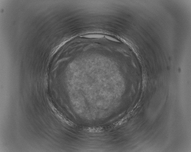 X0000083640345200703051706